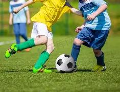 特奥国家队,首战推迟半,哥哥卢卡斯,神殿娱乐官网,神殿娱乐网页版,神殿娱乐官网入口,神殿娱乐官网,神殿娱乐首页