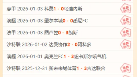 神殿娱乐 产品 083711 9p6