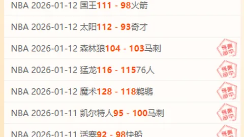 勇士队历经坎坷的胜利之路回顾